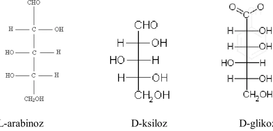 Şekil 1.2. L-arabinoz, D-ksiloz, D-glikoz Molekül Yapıları 