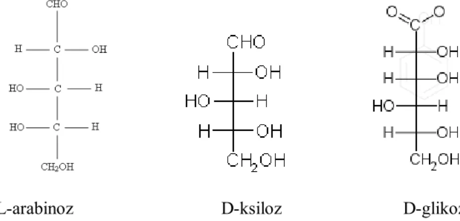 Şekil 1.2. L-arabinoz, D-ksiloz, D-glikoz Molekül Yapıları 