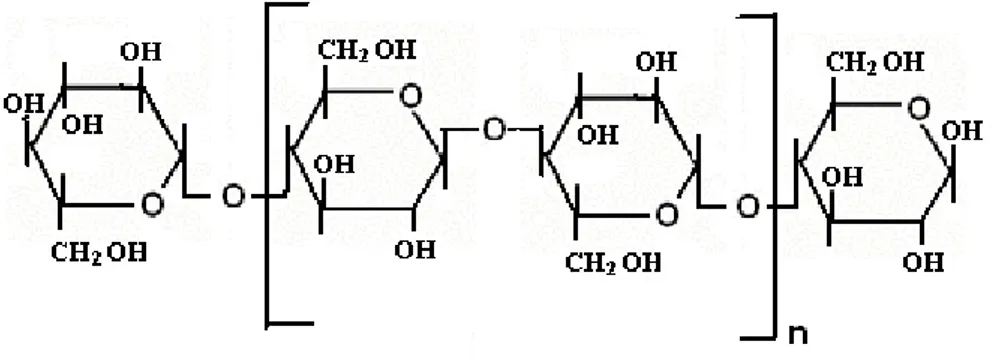 Şekil 1.4. Selüloz yapısında glikopiranoz moleküllerinin 1--O-4 bağlantıları   1.2.2
