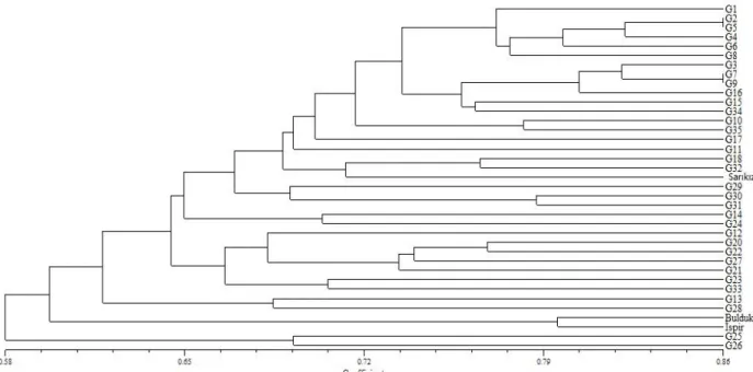 Şekil 4.1.1. Bulk-1 için Simple Matching benzerlik indeksi kullanılarak çizilmiş dendrogram 