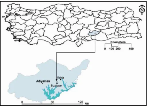 Şekil 3.1. Boztepe köyü konum haritası 