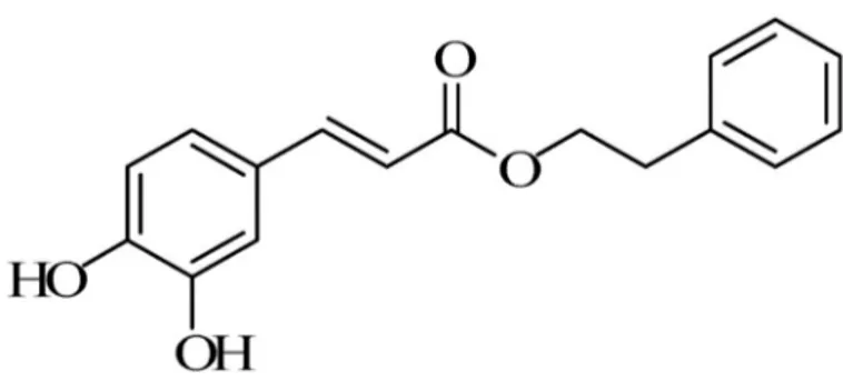 Şekil 1.1. Kaffeik asit fenetil ester (CAPE)’ in moleküler yapısı (Zhang ve ark 2014)