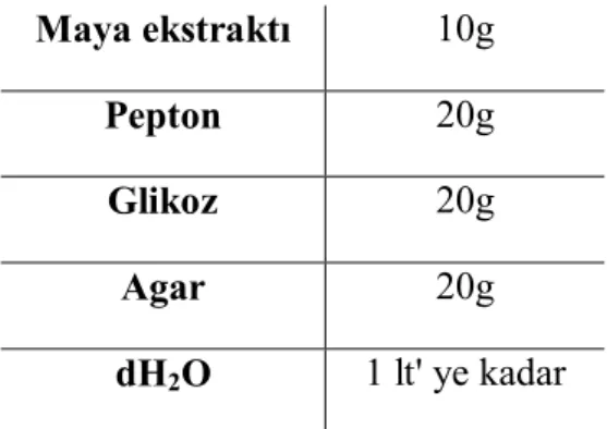 Çizelge 2.3. 1X YPD – Agar hazırlanışı.  