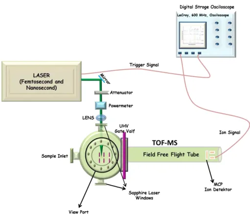 Şekil  2.5.  Laser  sistemleri  ve  uçuş  zamanlı  kütle  spektrımetresi  (TOF-MS)  deney  düzeneğinin  genel  diyagramı 