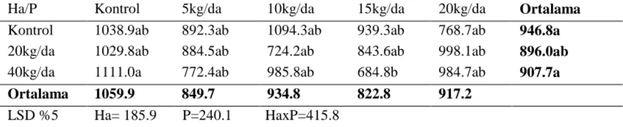 Çizelge 4.1. Fosfor ve humik asit uygulamalarının Physalis’te verime (kg/da) etkileri 