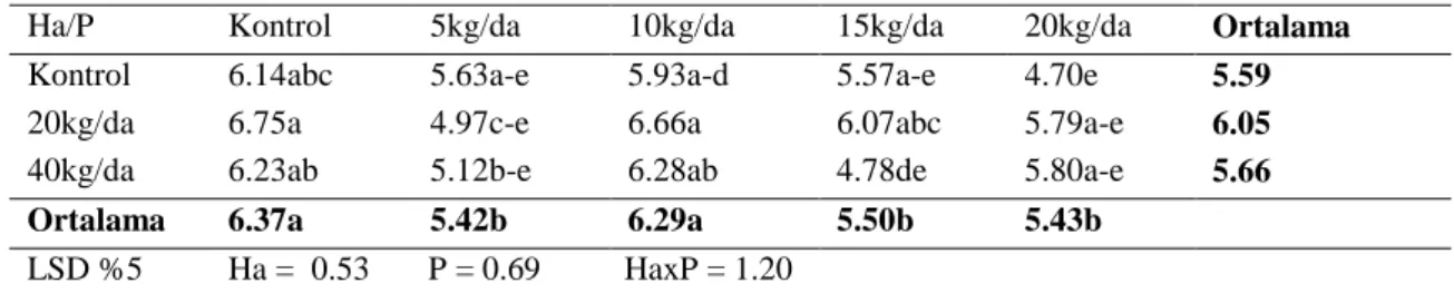 Çizelge 4.4.  Fosfor ve humik asit uygulamalarının Physalis’te ortalama meyve ağırlığına (g) etkileri 