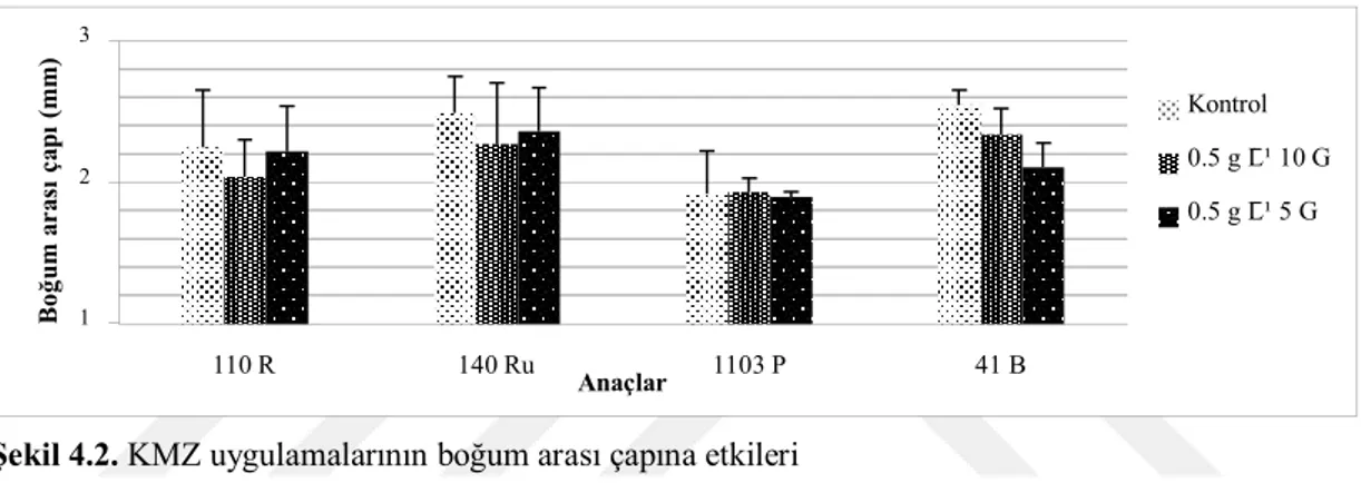 Şekil 4.2. KMZ uygulamalarının boğum arası çapına etkileri   