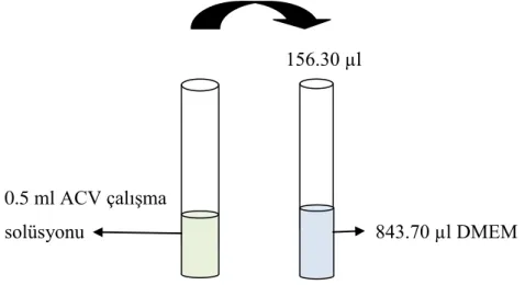 Şekil 3.6. ACV çalışma solüsyonundan (100 µg/ml) 15.63 µg/ml konsantrasyonda ACV solüsyonunun  hazırlanması (toplam 1 ml) 