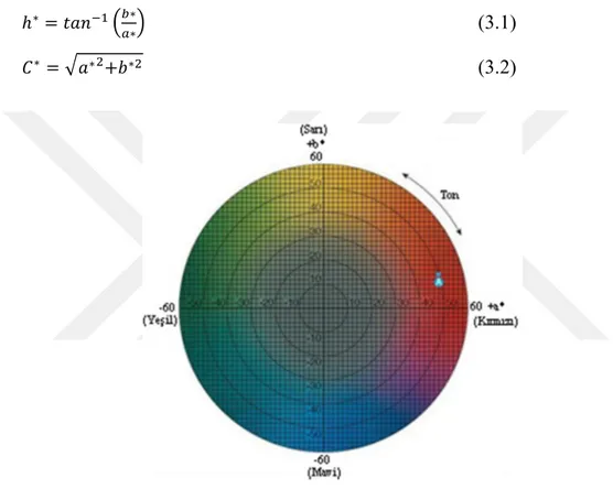 Şekil 3.3. L*, a* ve b* renk alanı renksellik diyagramı 