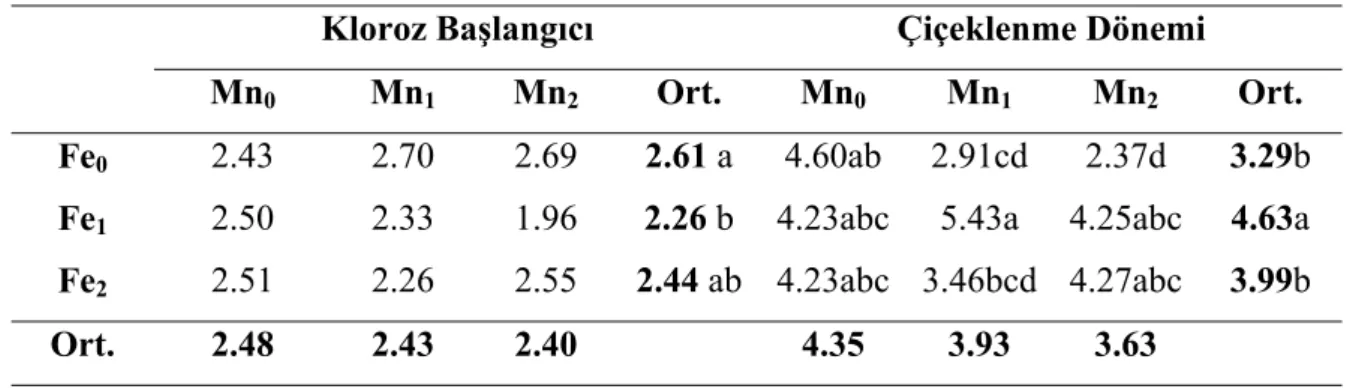 Çizelge 4.5’ de kloroz başlangıcında Fe ve Mn dozları incelendiğinde en yüksek  ortalamalar Fe için; Fe 0  (2.61 g) uygulamasından, Mn için ise Mn 0  (2.48 g)  uygulamasından elde edilmiştir