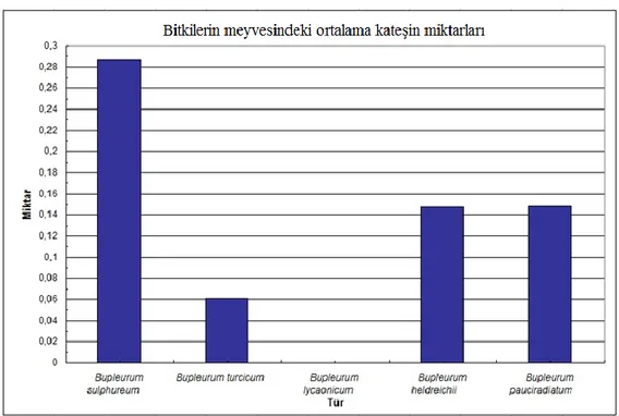 ġekil  4.2.:  Bitkilerin  meyvesindeki  ortalama  kateĢin miktarının  karĢılaĢtırılması 