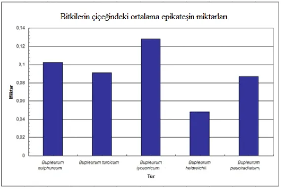 ġekil  4.11.:  Bitkilerin  çiçeğindeki  ortalama  epikateĢin miktarının  karĢılaĢtırılması 