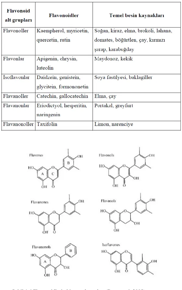 Şekil 1.6.Flavonoidlerin kimyasal yapıları (Ren ve ark 2003) 