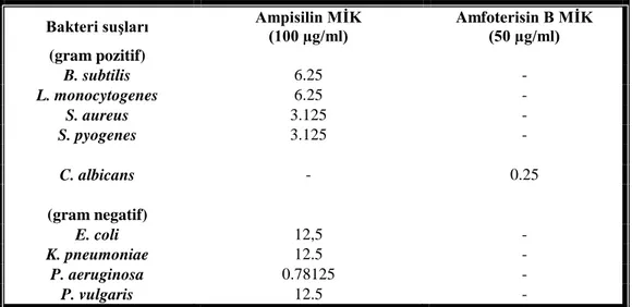 Çizelge 5.8. Bakteriler ve mayanın kontrol Ampisilin ve Amfoterisin-B MĠK değerleri. 