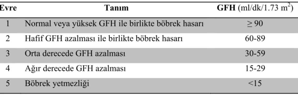 Tablo 1. KBY evrelemesi ve tanımları 