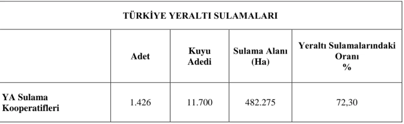Çizelge 1.3. Türkiye yeraltı sulamaları (31/12/2013 tarihi itibariyle) (Anonim, 2014a) 