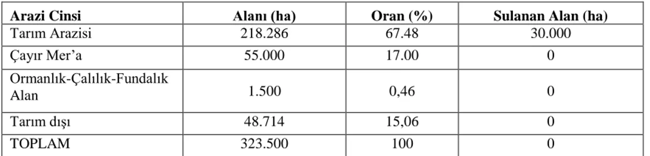 Çizelge 3.1. Polatlı’nın arazi varlığı 