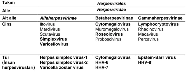 Çizelge 1.1. Ġnsan Herpesviruslarının taksonomideki yeri. 