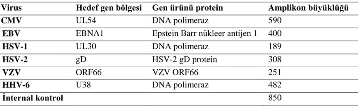 Çizelge 2.1. Reaksiyonda kullanılan hedef gen bölgeleri. 