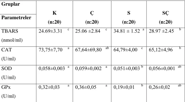 Çizelge 3.1. Grupların Kan Plazması TBARS, CAT, SOD ve GPx Düzeyleri. 