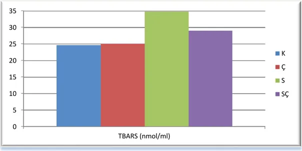 Şekil 3.1. AraĢtırma gruplarında belirlenen plazma TBARS düzeyleri (her grup için  (n:20)