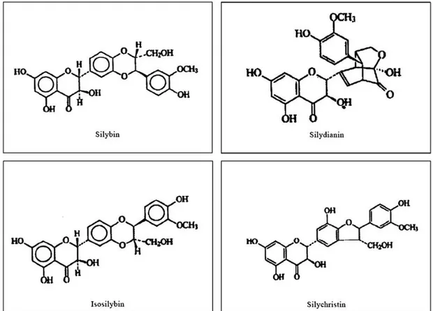Şekil 2.1. Silybin, silydianin,  isosilibin ve silychristin’in kimyasal formülleri (Wu ve  ark 2009)