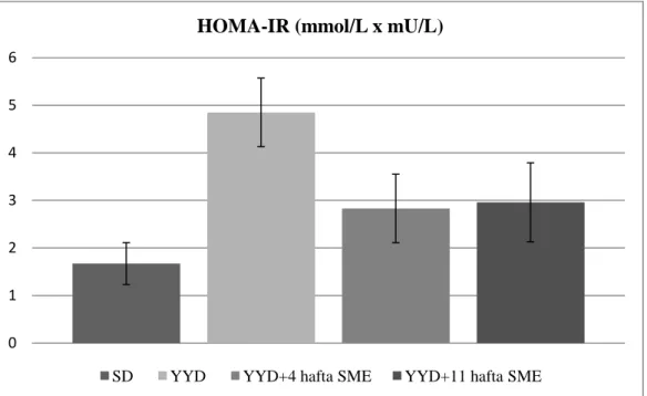 Grafik  4.7.  Grupların  insülin  değerleri  SD;  standart  diyet  verilen  grup,  YYD;  yüksek  yağlı  diyet  verilen  grup,  YYD+4  hafta  SME;  yüksek  yağlı  diyete  ek  olarak  son  4  hafta  SME  verilen  grup,  YYD+11 hafta SME; yüksek yağlı diyete 