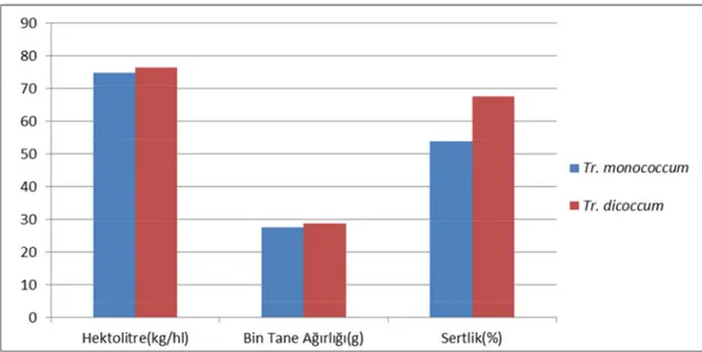 Şekil 4.1. Triticum monococcum (einkorn) ve Triticum dicoccum (emmer) buğdaylarının hektolitre, bin  tane ağırlığı ve sertlik oranları 