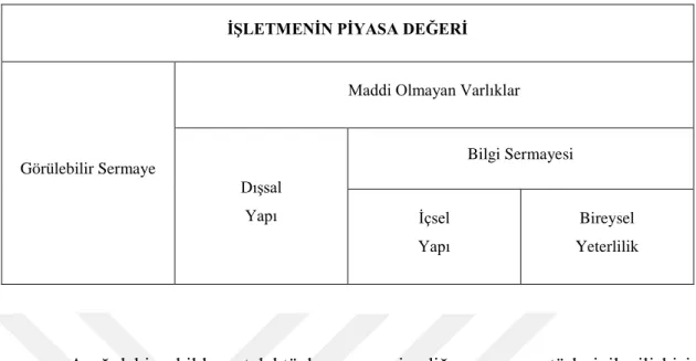 Şekil 2.4: Sermaye Türleri 