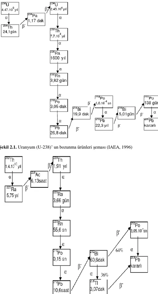Şekil 2.1. Uranyum (U-238)’ un bozunma ürünleri şeması (IAEA, 1996) 