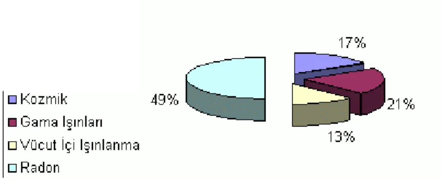 Şekil  2.1  ve  2.2'  de  görüldüğü  gibi  serideki  radyoaktif  izotopların  isimleri  kendi element isimlerinden farklıdır (Arya, 1999)