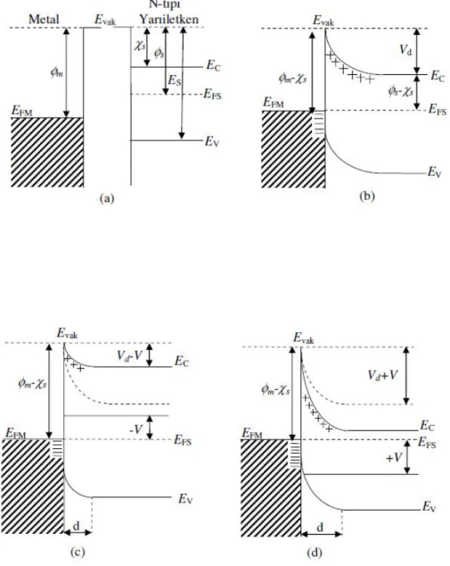 Şekil 3.3.  Metal n tipi yarıiletken doğrultucu kontağın enerji bant diyagramı a) kontaktan önce b)  kontaktan sonra c) V&lt; 0 durumunda d) V&gt;0 durumunda 