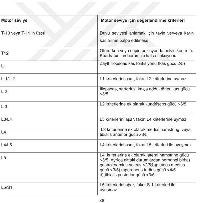 Tablo 1:  Uluslararası Myelodisplazi Çalışma Grubu(International Myelodysplasia Study  Group:IMSG) Kriterlerine Göre Motor Seviye Belirlenmesi 