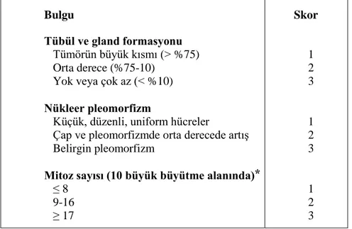 Tablo 1.2. Meme tümörlerinde histolojik derecelendirme (Lakhani ve ark., 2012)