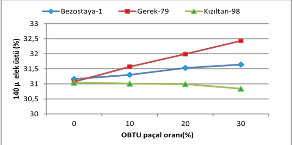 Şekil 4.14. OBTU paçallarının 140μ elek üstü miktarı üzerine etkili &#34;Buğday çeşidi x OBTU   paçal oranı&#34; interaksiyonu (OBTU: Olgunlaşmamış buğdaylardan elde edilen tam un) 