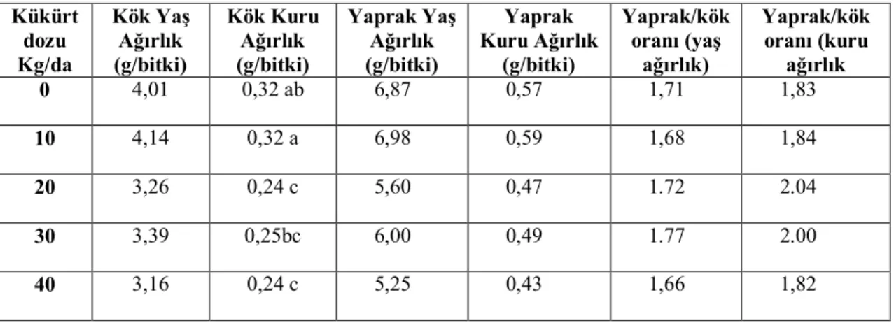 Çizelge 4.3. Farklı dozlarda kükürt uygulamalarının mısır bitkisinin kök ve toprak üstü aksamı üzerine etkisi   Kükürt  dozu  Kg/da  Kök Yaş Ağırlık (g/bitki)  Kök Kuru Ağırlık (g/bitki)  Yaprak Yaş Ağırlık (g/bitki)  Yaprak  Kuru Ağırlık (g/bitki)  Yaprak