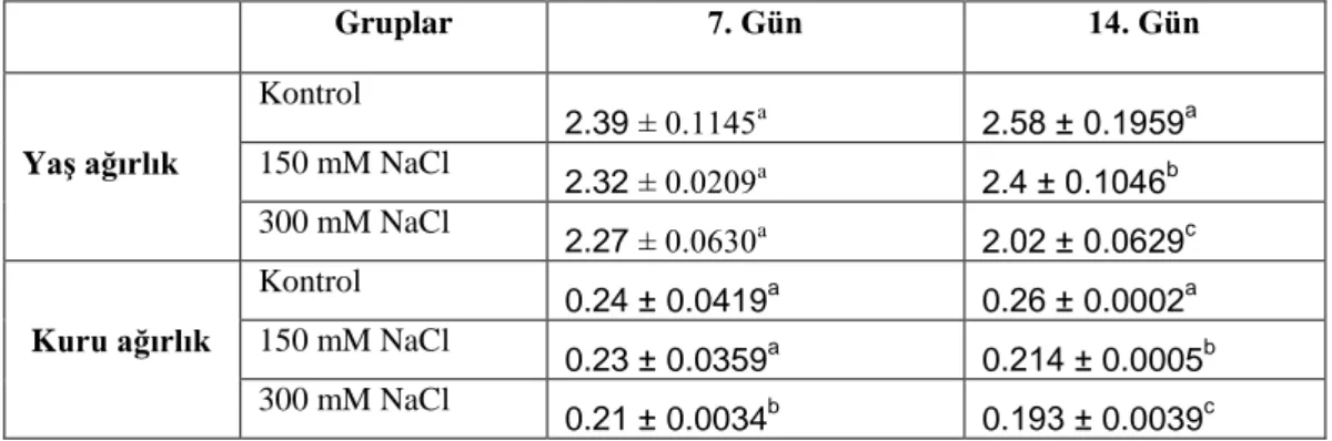 Çizelge  4.3.  7  ve  14  gün  süreyle  tuz  stresine  maruz  bırakılan  Z.  fabago  L.‘nun  sürgün  yaş  ve  kuru  ağırlıklarında  (g)  görülen  ortalama  değişimler  (n=6)