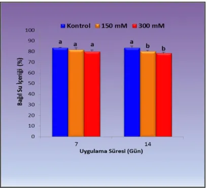 ġekil 4.6. 7 ve 14 gün boyunca tuz stresine maruz bırakılan Z. fabago‘nun yaprak bağıl su içeriklerinde  gözlenen  ortalama  değişimler  (%)  (n=6)