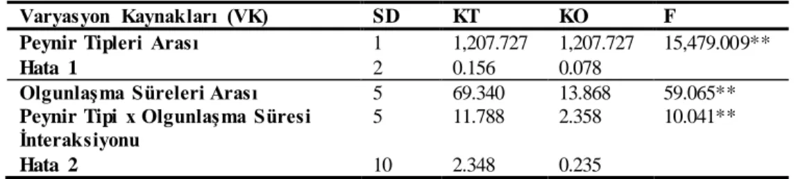 Çizelge  4.2.  Farklı  tip  sütlerden  yapılmış  Tulum  peyniri  örneklerinin  olgunlaşma  süresince  kuru  madde  oranlarına (%)  ait varyans analizi  sonuçları 