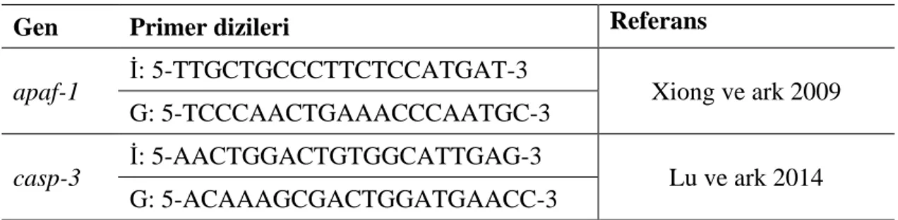 Çizelge 2.3. apaf-1, casp-3, β-actin genleri için kullanılan özgün primer dizileri. 