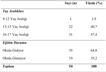 Çizelge 3.1. Çocuklara ĠliĢkin Sosyo-Demografik Bilgiler 