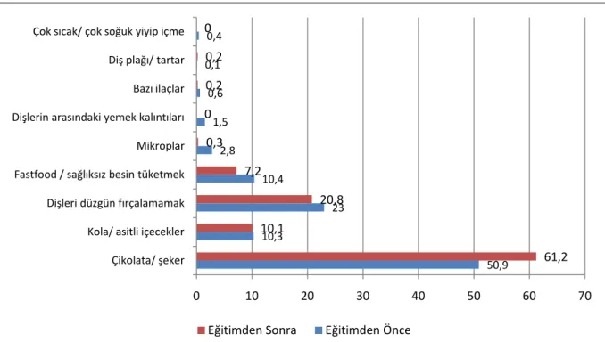 Şekil 4.2. Diş çürüklerine sebep olan etkenlere verilen örneklerin grafiği