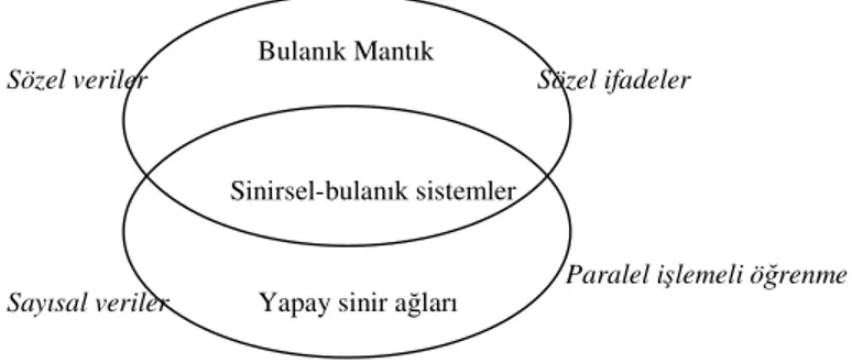 Şekil 4.1 Sinirsel- Bulanık sistemlerin sinir ağları ve bulanık mantıkla ilişkisi 