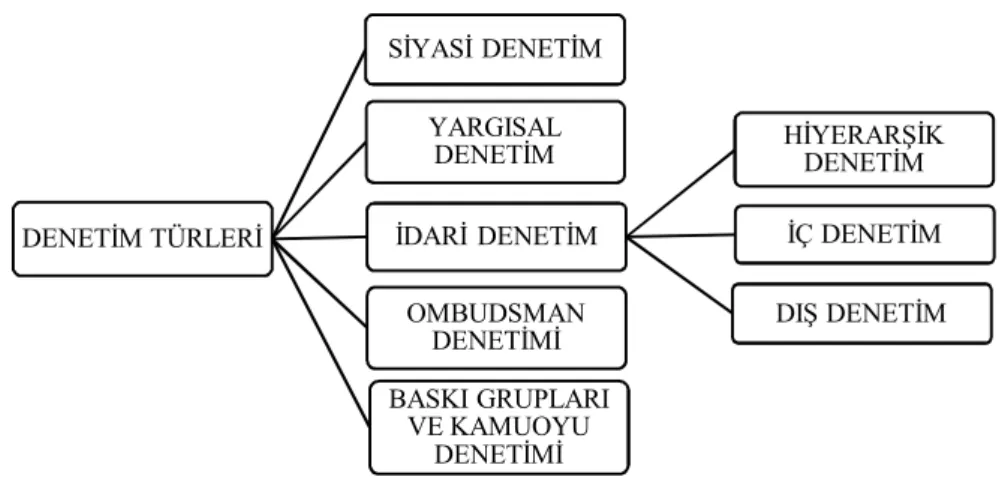 Şekil 4: Denetim Türleri 