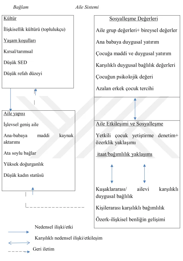 Şekil 4: Karşılıklı Bağımlılık Modeli (Kağıtçıbaşı, 2007: 124). 