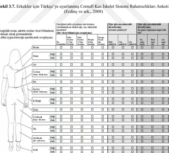 Şekil 3.8. Kadınlar için Türkçe’ye uyarlanmış Cornell Kas İskelet Sistemi Rahatsızlıkları Anketi   (Erdinç ve ark., 2008) 