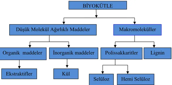 Şekil 2.8. Biyokütlenin temel bileşenleri (Mohan vd., 2006).  