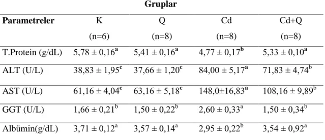 Çizelge  3.  Akut  kadmiyum  toksikasyonu  oluşturulan  ratlarda  quercetin  uygulamasının plazma total protein, ALT, AST, GGT ve Albümin düzeyleri üzerine  etkisi (X ± SEM)