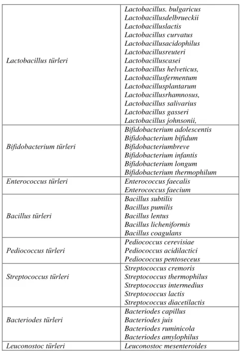 Çizelge 2.1. Probiyotik olarak kullanılan bazı mikroorganizmalar: ( Sanders ,1999;Parvez ve  ark, 2006)  Lactobacillus türleri   Lactobacillus