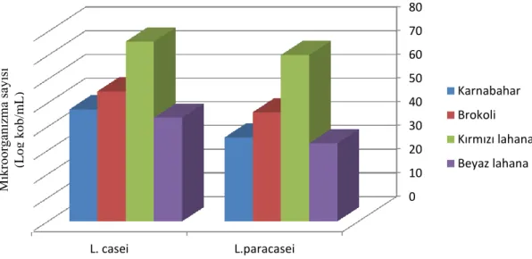 ġekil 4.1. L.casei ve L.paracasei ile fermente edilen sebze sularının Depolanması süresince LAB  sayısındaki değişim (%)  0 1020304050607080L